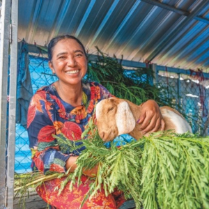 Help a Farming Family