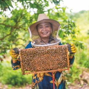 Honeybees