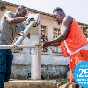Help Construct a Well or Water Tower