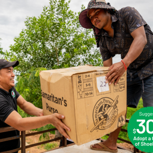 Adopt a Carton of 24 Shoeboxes