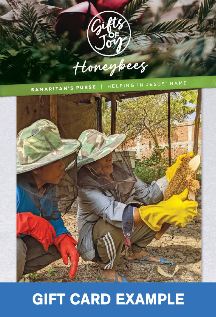 Honeybees Samaritan's Purse Gift Catalogue