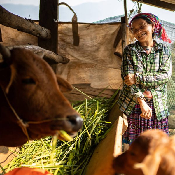 Help a Farming Family - Image 2