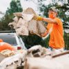 Sammy the Koala: Australian Disaster Relief - Image 2
