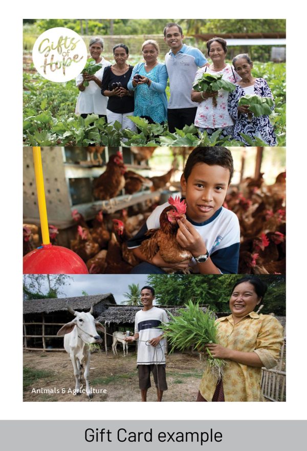 Help a Farming Family - Image 4