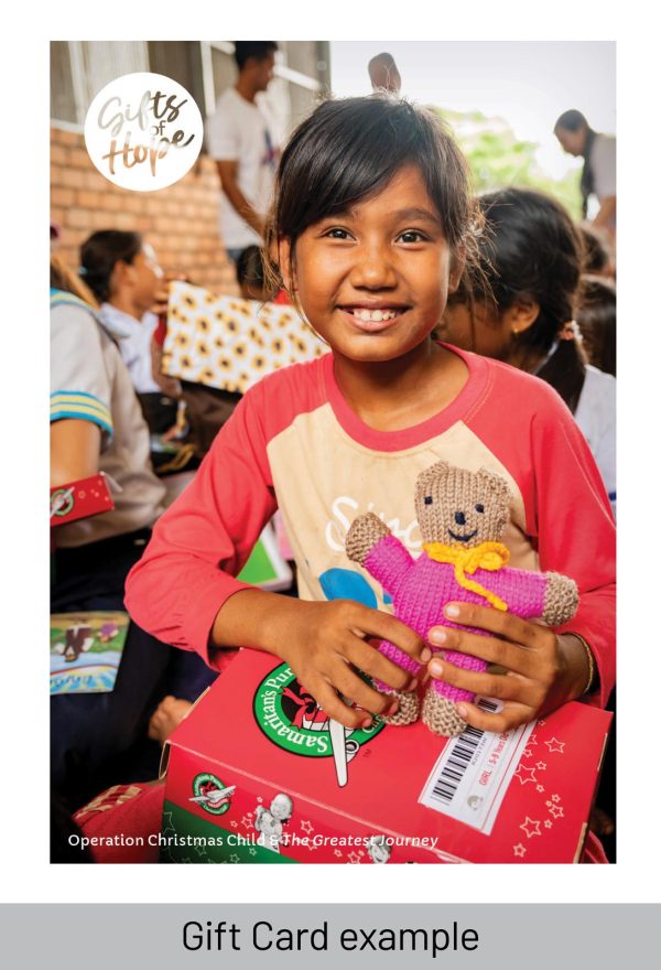 Adopt a Carton of Shoeboxes - Image 4