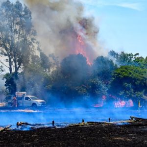 Victorian Fires Disaster Relief