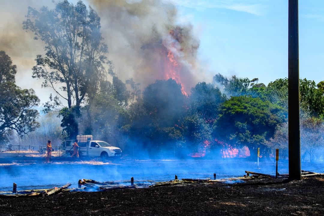Victorian Fires Disaster Relief